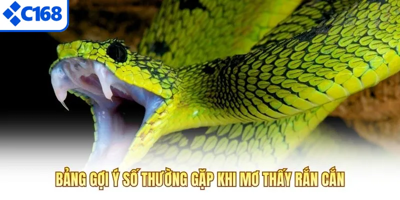 Bảng gợi ý số thường gặp khi mơ thấy rắn cắn