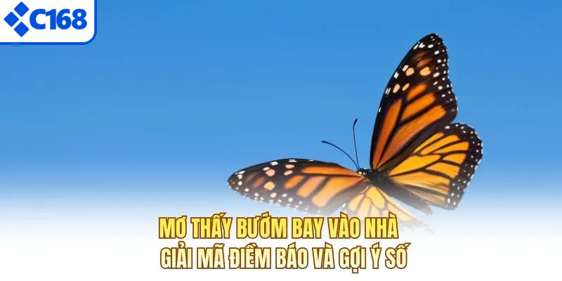 Mơ thấy bướm bay vào nhà