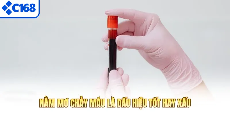 Nằm mơ chảy máu là dấu hiệu tốt hay xấu